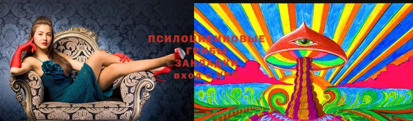 гидра Волосово