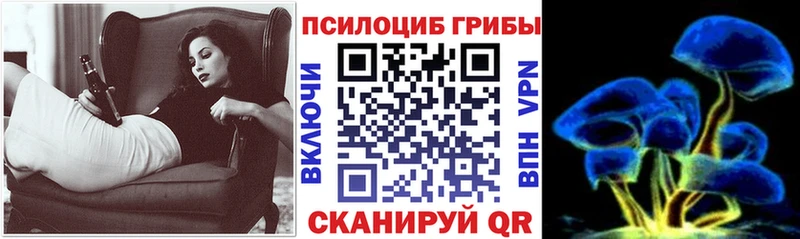 OMG ССЫЛКА  Гдов  Псилоцибиновые грибы Magic Shrooms 